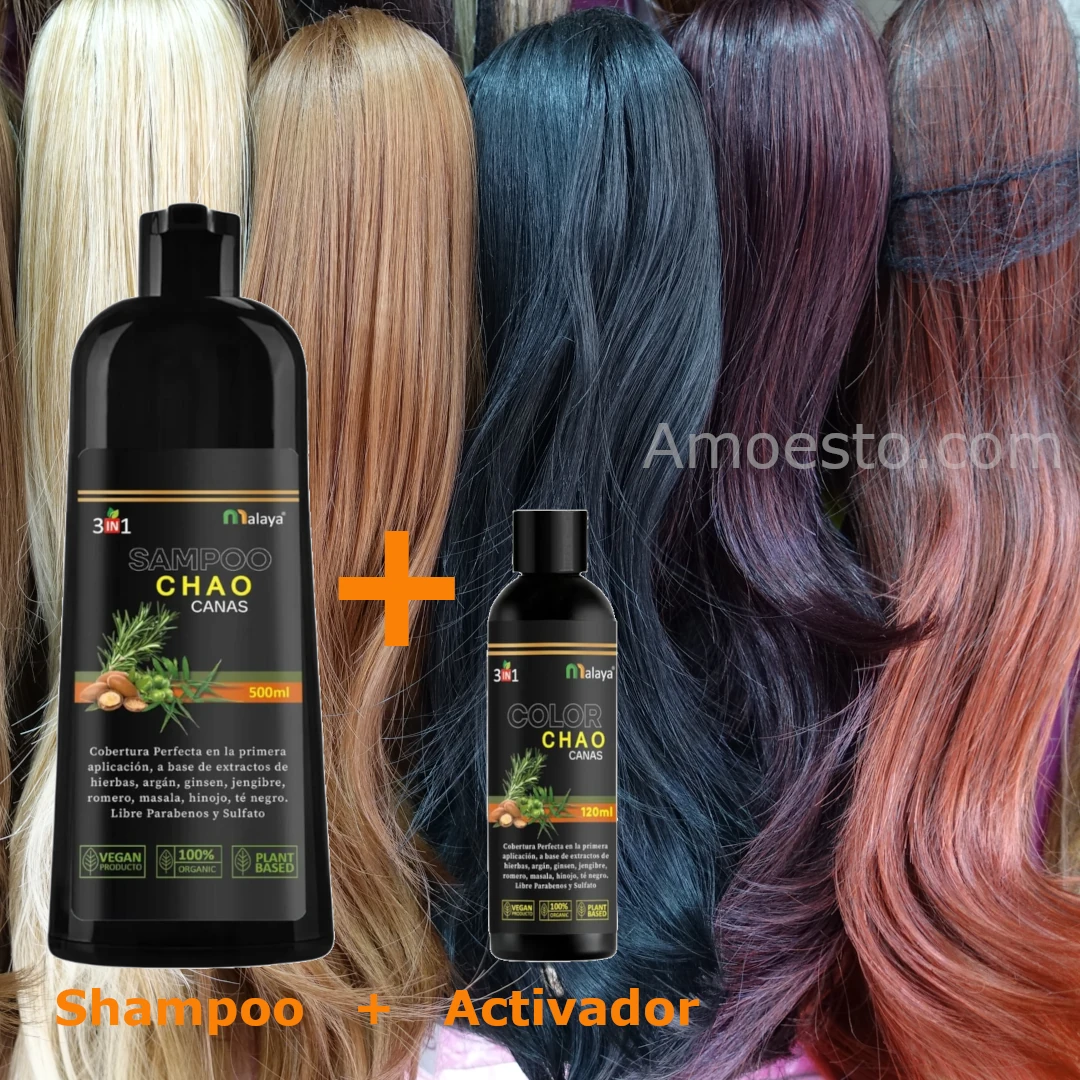 00.Shampoo_Chao_Cana_amoesto